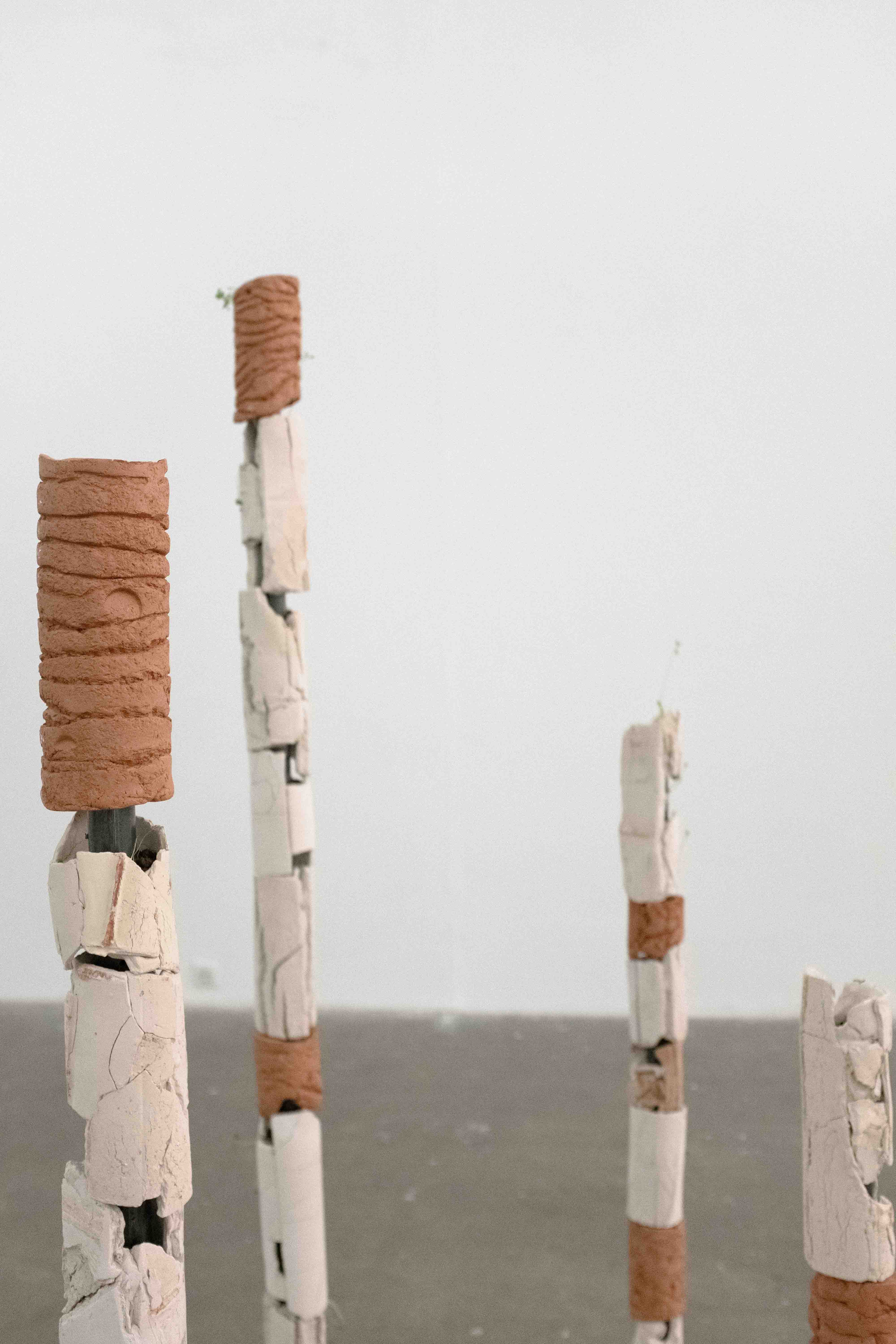 Totems